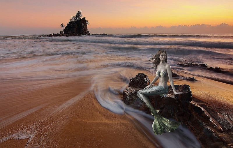 Mermaid Backdrops