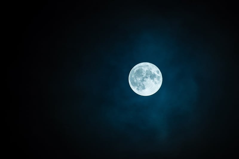 Moonlit Dance Floor